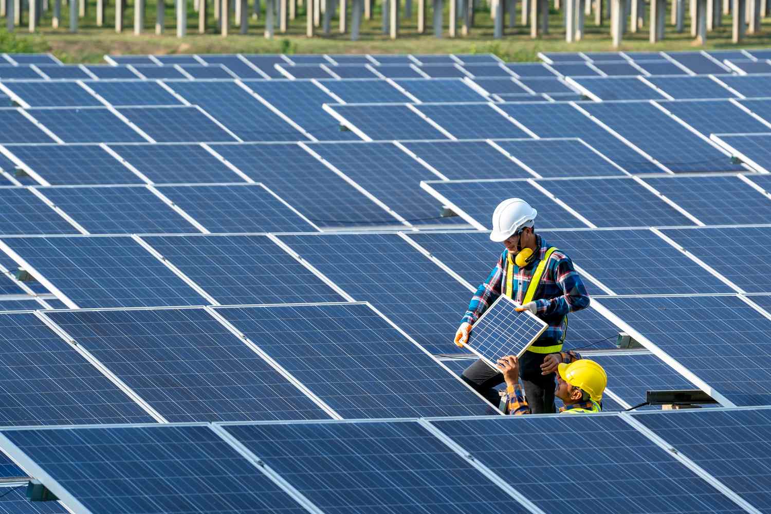 Municipalities Leading the Way in Solar Adoption