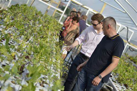 Vertical Farming and Food Security