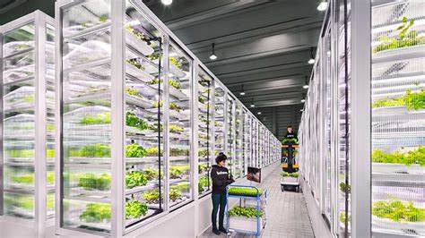 Choosing the Right Vertical Farming System