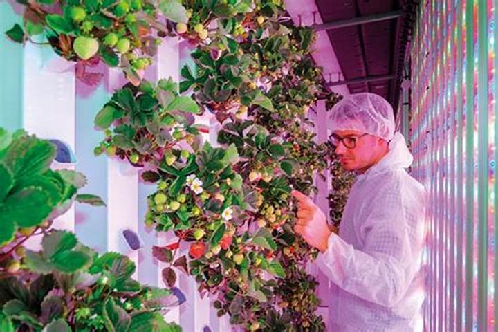 Best Crops for Vertical Farming