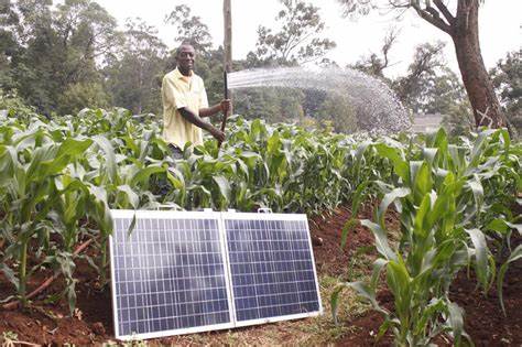 Water and Energy Efficiency in Vertical Farms