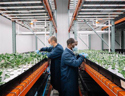 Vertical Farms and Sustainable Agriculture Standards