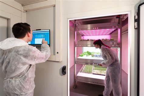 Vertical Farming as a Learning Experience