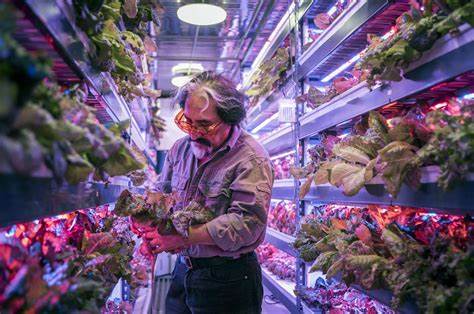 Vertical Farming: Pioneers and Visionaries Leading the Way