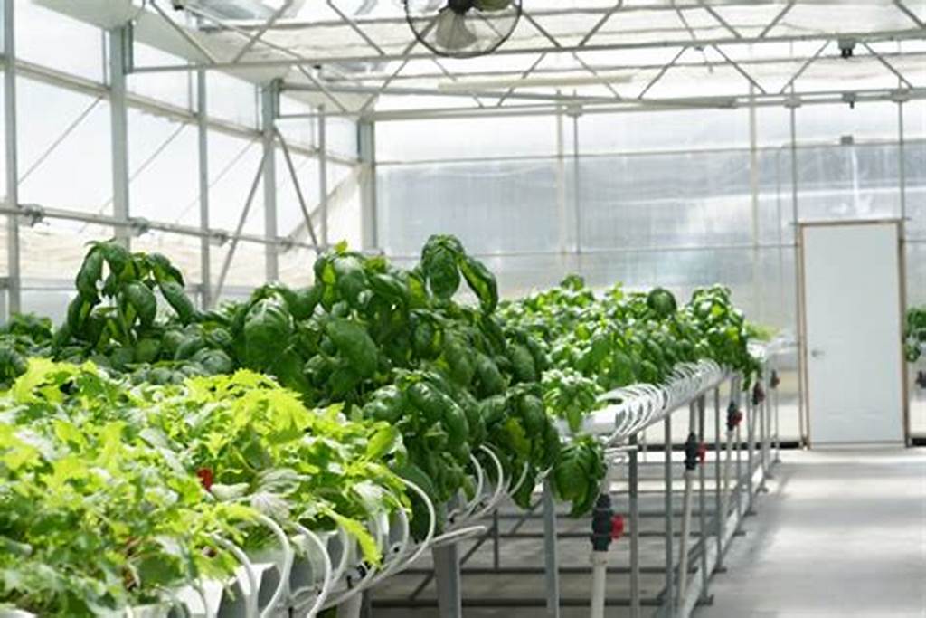 Vertical Farming and the Art of Sustainable Crop Selection