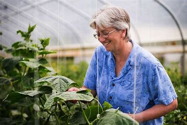 Vertical Farms: A Solution for Resilient Food Systems