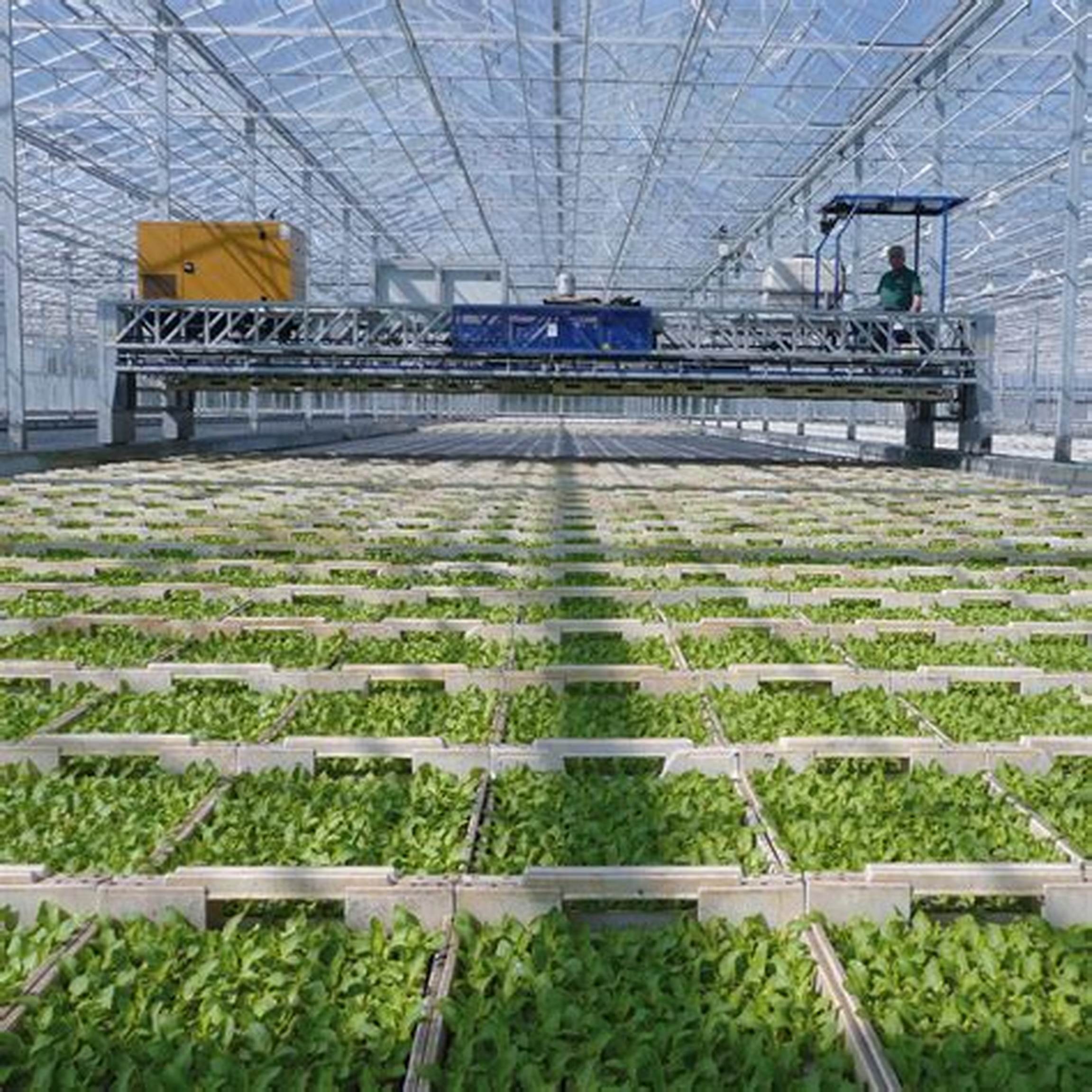 Vertical Farms: A Tool for Climate Change Adaptation