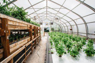 Vertical Farming and the Evolution of Sustainable Farm-to-Table