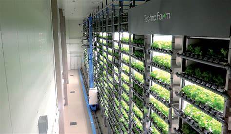 Vertical Farming: Reshaping Perceptions of Agriculture