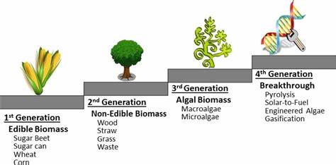 Advantages and Challenges of Using Biofuels