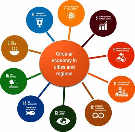 The circular economy in developing countries: opportunities and challenges