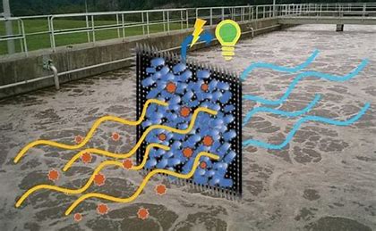 The Intersection of Wastewater Treatment and Environmental Conservation