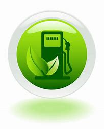 The Future of Biofuels: A Visionary Perspective