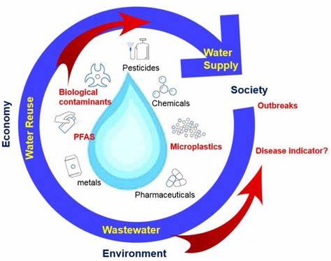 The Circular Water Economy: Wastewater as a Resource