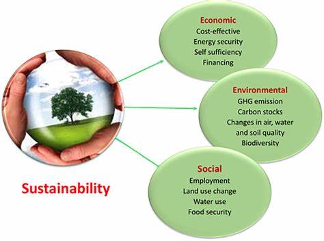 Biofuels' Role in Sustainable Development: A Thought Leader's Analysis