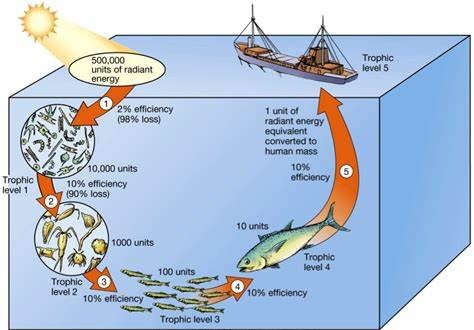 The Ocean Energy Renaissance: Lessons from the Past