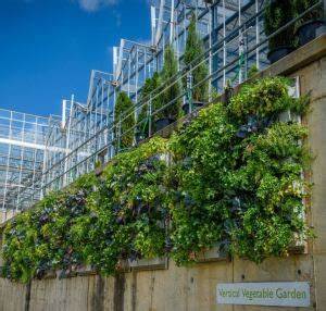 Vertical Gardens for Cooling Urban Areas