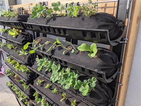 Vertical Gardens as a Solution to Food Security Challenges