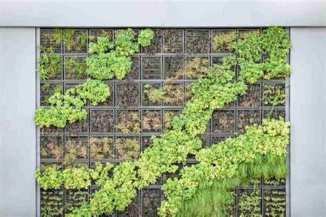 Exploring the Therapeutic Potential of Vertical Gardens