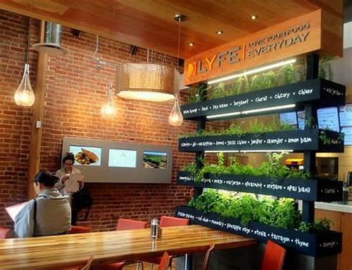 Vertical Farming and the Future of Sustainable Restaurants