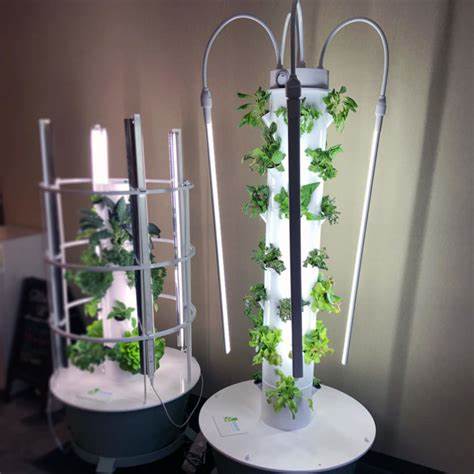 Vertical Garden Lighting Solutions