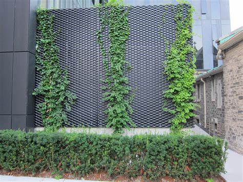 Vertical Garden Maintenance Tips