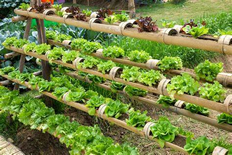 Sustainable Food Production with Vertical Gardening