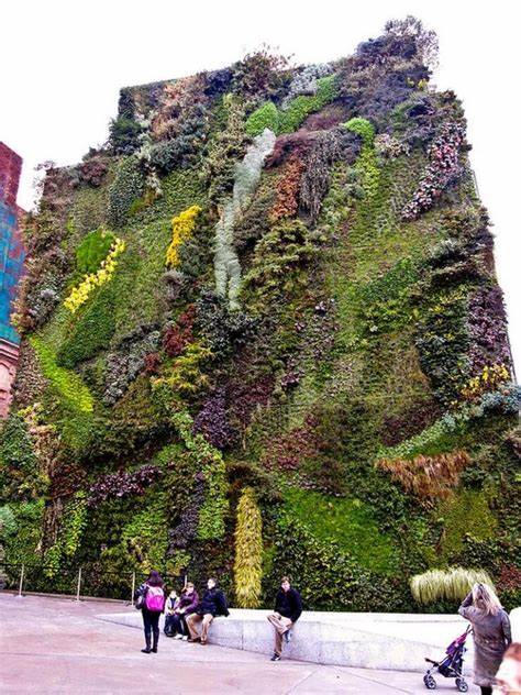 Cultural Significance of Vertical Gardens