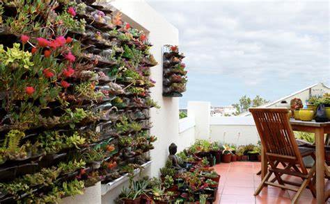 Vertical Gardens for Cooling Urban Areas