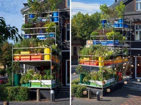 Vertical Gardens as a Solution to Food Security Challenges