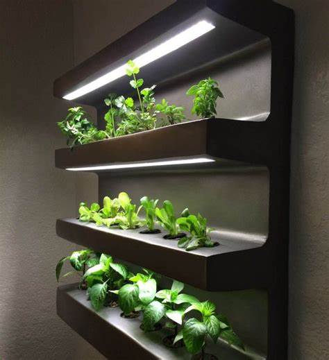 Vertical Gardens in Educational Settings: Cultivating Young Minds