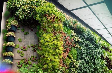 The Future of Vertical Gardens: What Lies Ahead