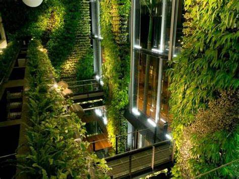 Vertical Gardens and the Philosophy of Biophilia