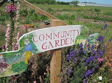 Vertical Gardens and Community Engagement: Building Green Neighborhoods