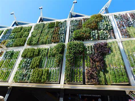 Vertical Gardens and their Role in Sustainable Design