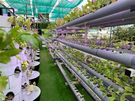 Sustainability Benefits of Vertical Farming