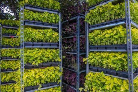 Vertical Farming Space Utilization