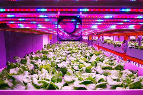 Vertical Farm Lighting and Climate Control