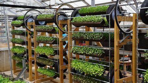 Maintaining Vertical Farm Systems