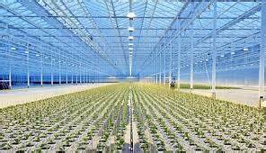 Financing and Investment in Vertical Farms