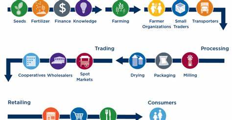 Vertical Farms and Shortening the Supply Chain