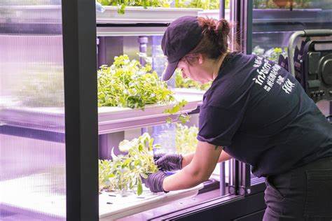 Vertical Farms and Grocery Stores