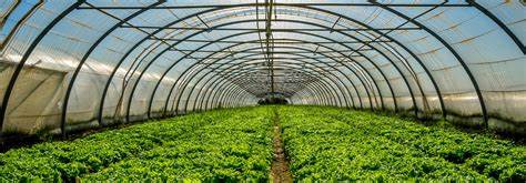 Vertical Farms and Sustainable Agriculture Standards