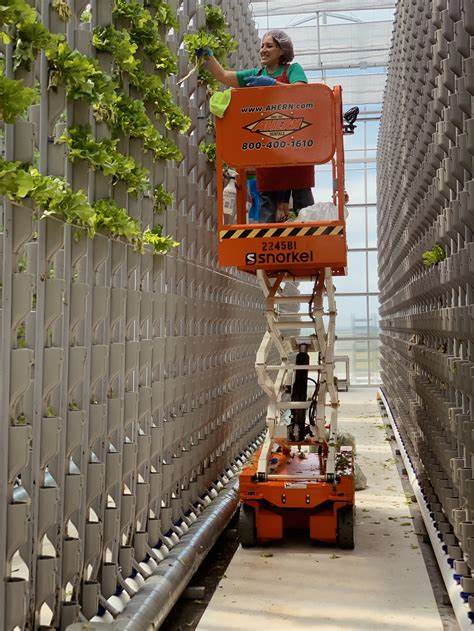 Vertical Farming Job Creation