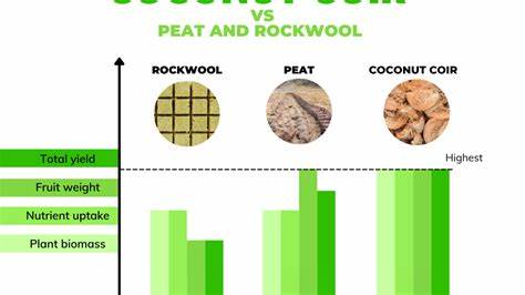 Coconut Coir vs. Rockwool vs. Peat Moss