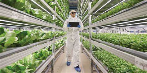 The Role of Vertical Farms in a Post-Pandemic Food System