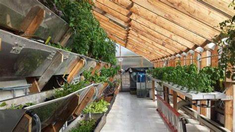 Vertical Farming and the Art of Sustainable Crop Selection