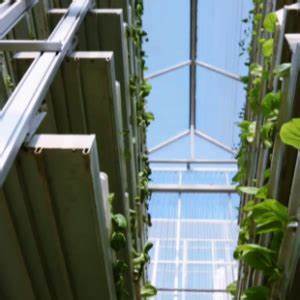 Vertical Farming and the Preservation of Rare Plant Species