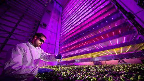 Vertical Farming and the Future of Controlled Environment Agriculture