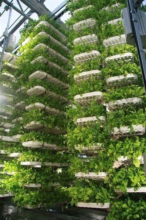 The Human-Centered Design of Vertical Farming Spaces